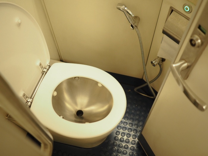 Let's Talk Toilets RecPro